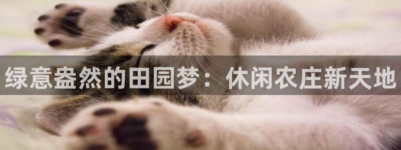 金年会app在线