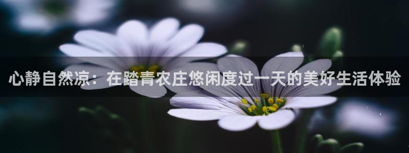 金升年会