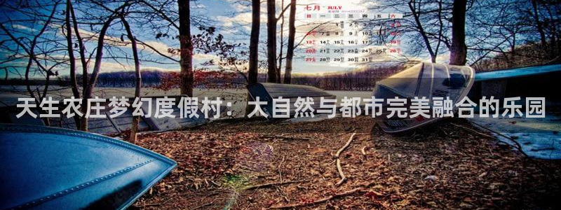 金年会吧