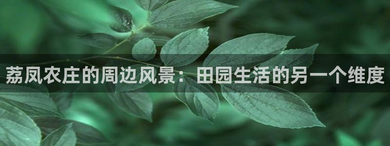 金雅陶瓷年会现场
