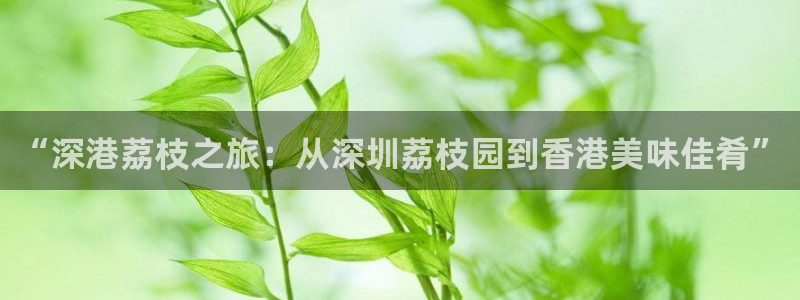 金年会官网app