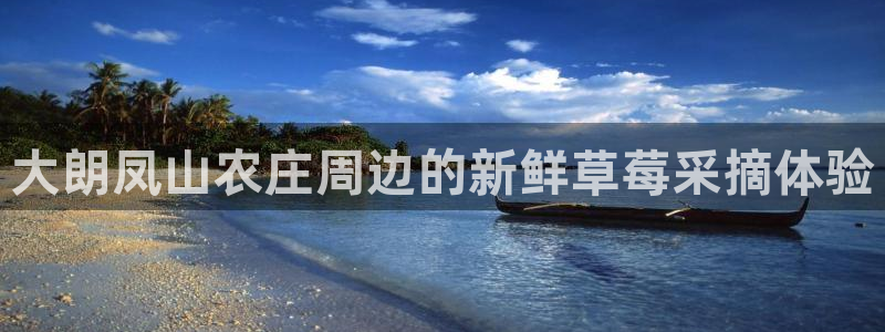 年会金