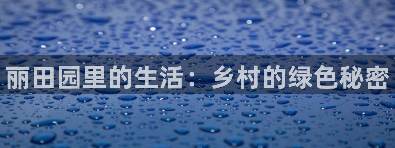 金汉江年会