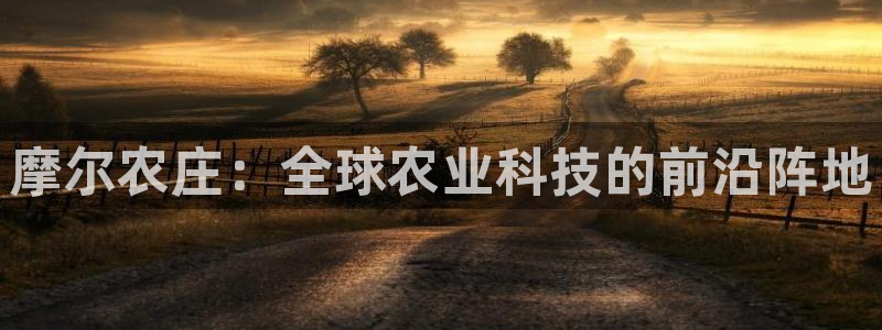 金年会网登录平台入口