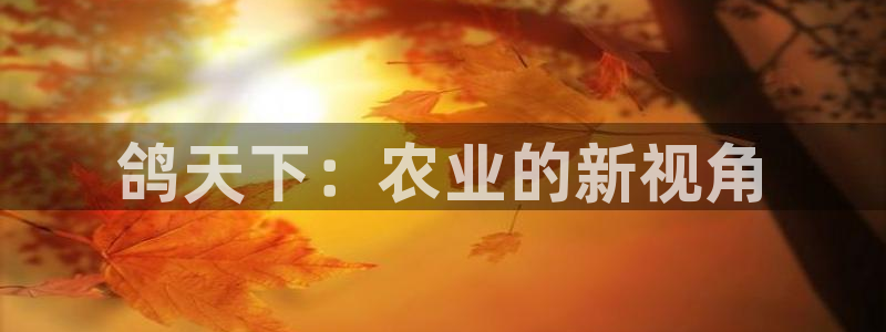 金年会是赌博的吗