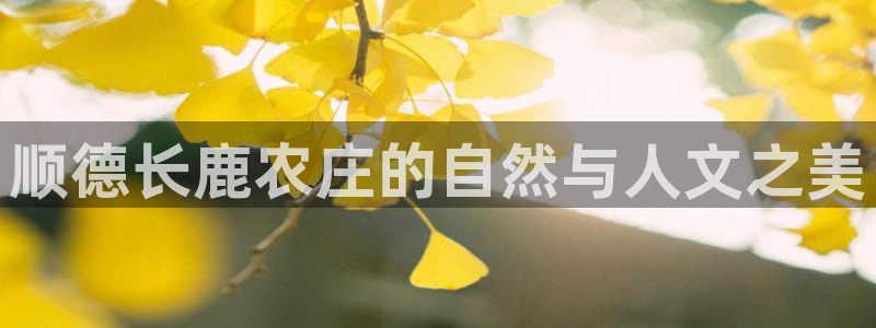 金年会平台包赔