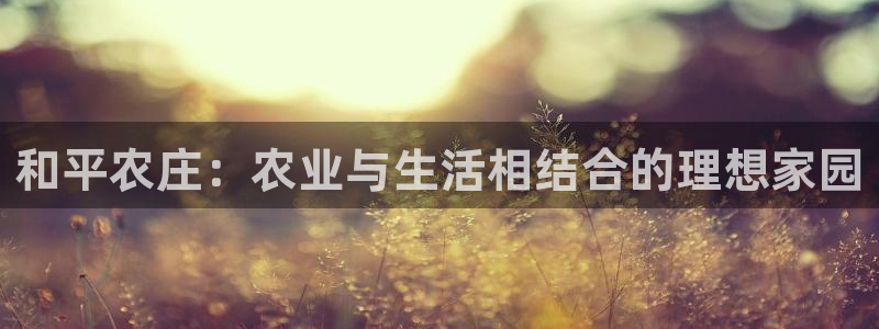 澳门金年会棋牌