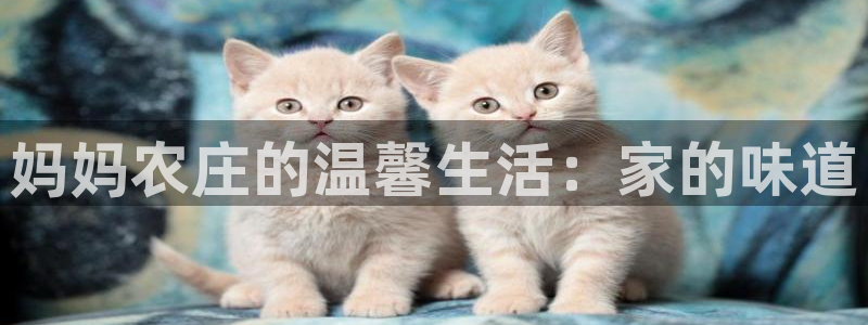 金年会投注官网