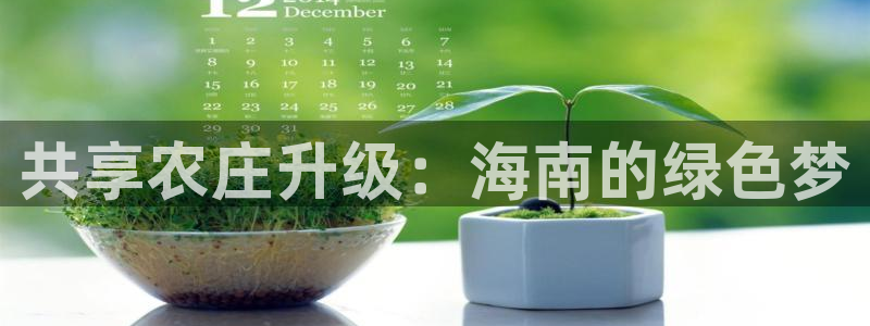 金年会 平台