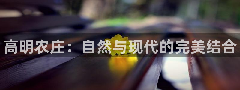 金年会 平台