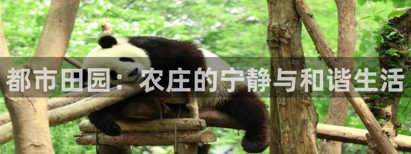 金年会登录平台入口