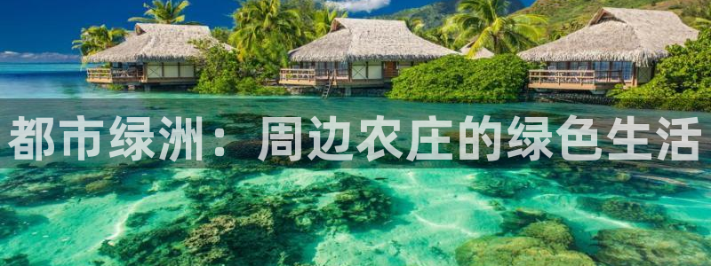 金年会app下载官网