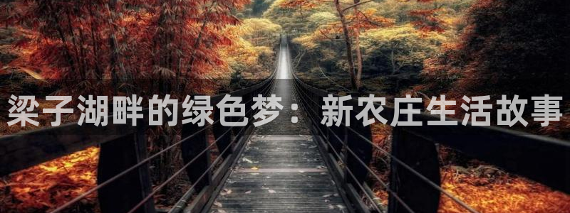 金年会体育官网在线