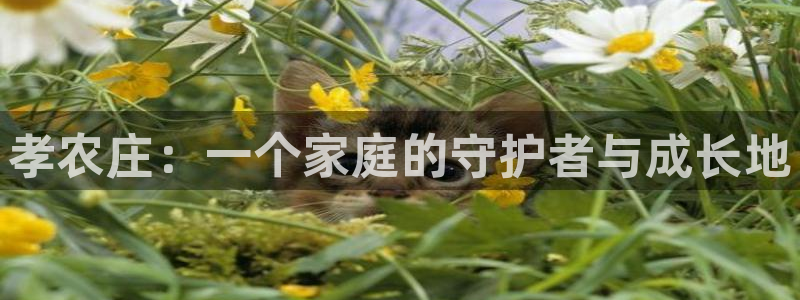 金年会菲律宾