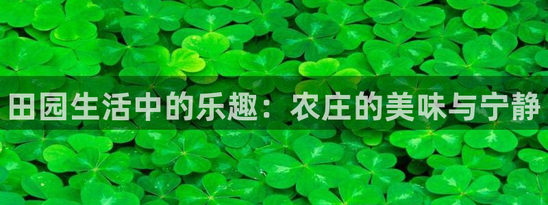 金金年会