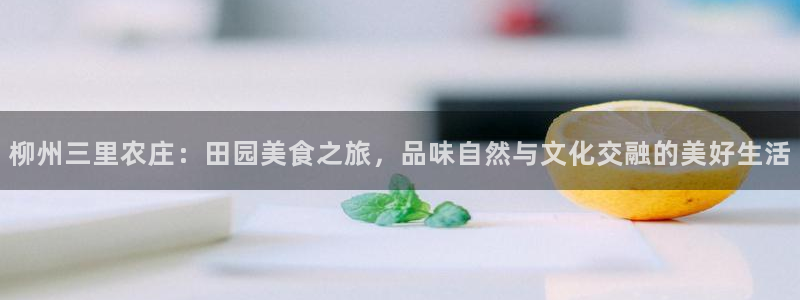 2022年金科年会