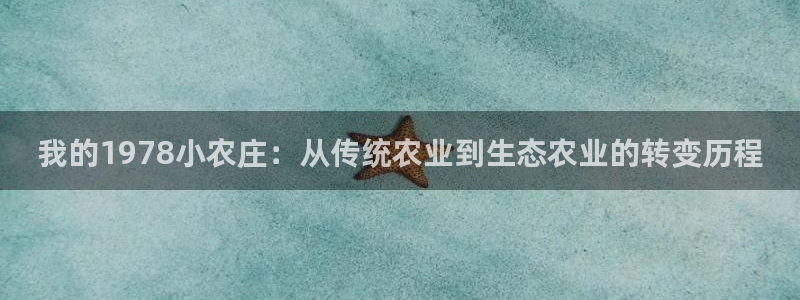 今金年会