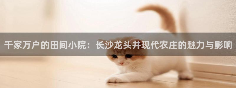 金雅陶瓷年会现场