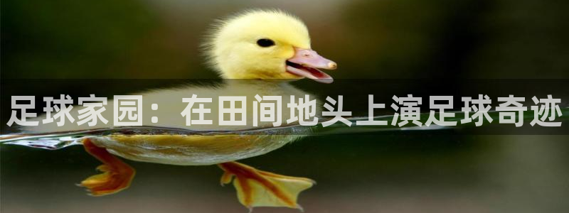 金年会 平台