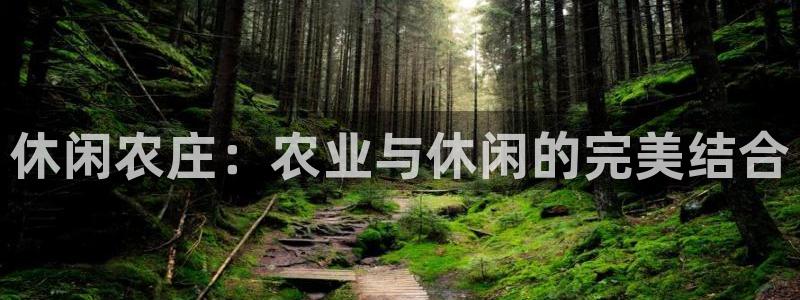 金年会网页版登陆