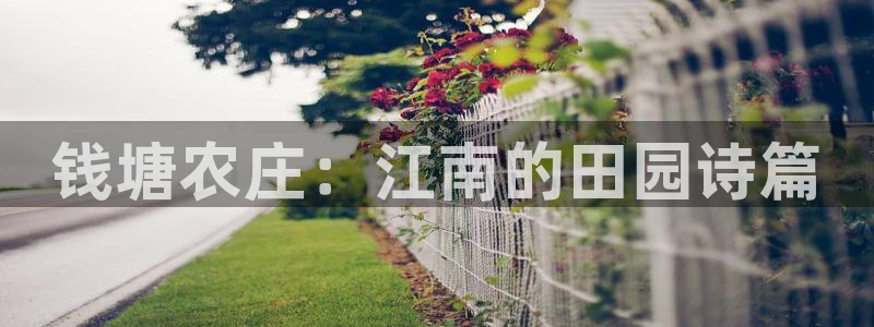 金年会官方网址登录路线