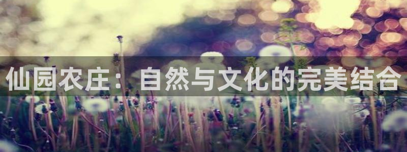金年会最新下载
