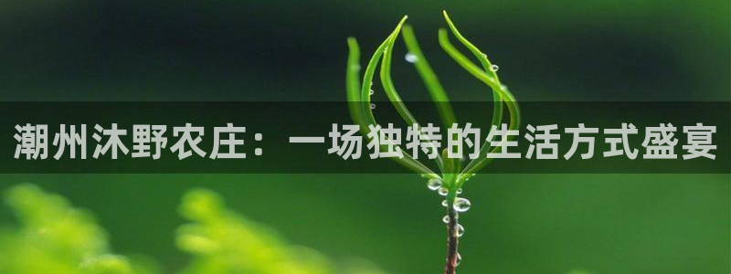 金年会6766