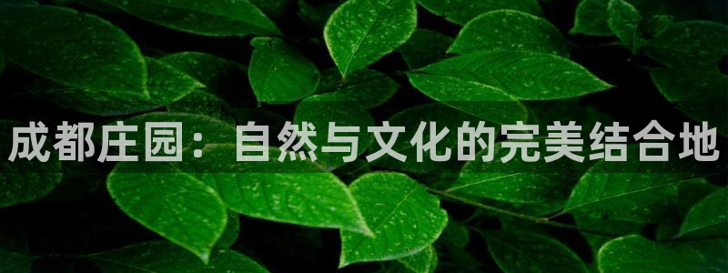 金年会手机登录