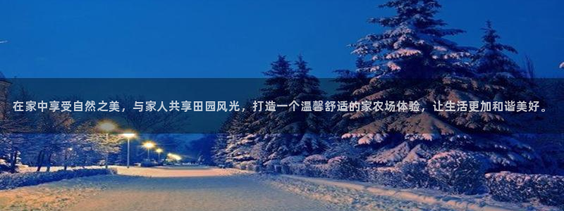金立年会