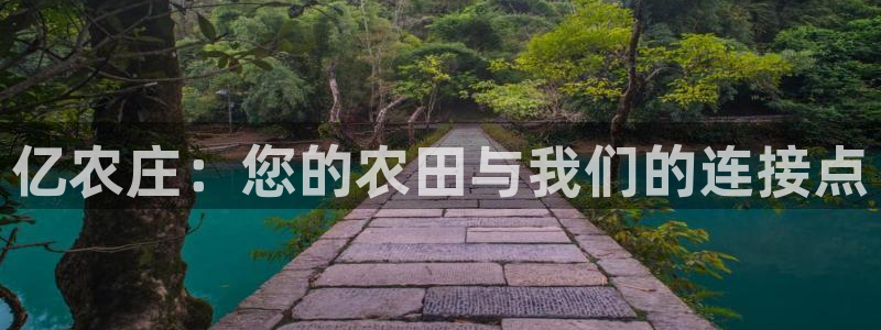 金顶年会