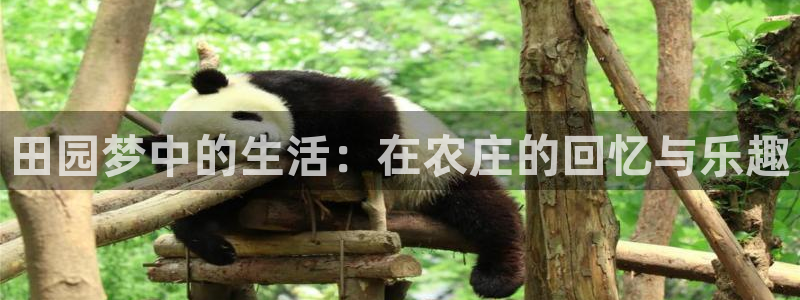 金年会网页版登陆