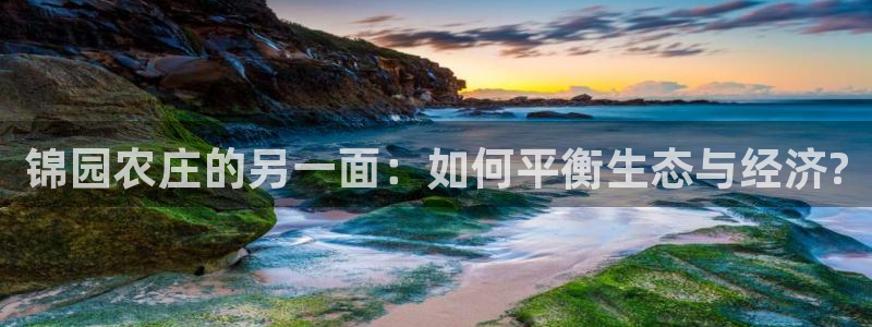 金年会体育app