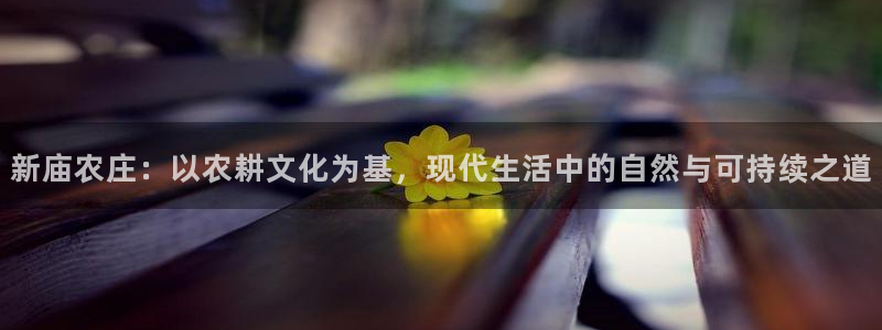年会金