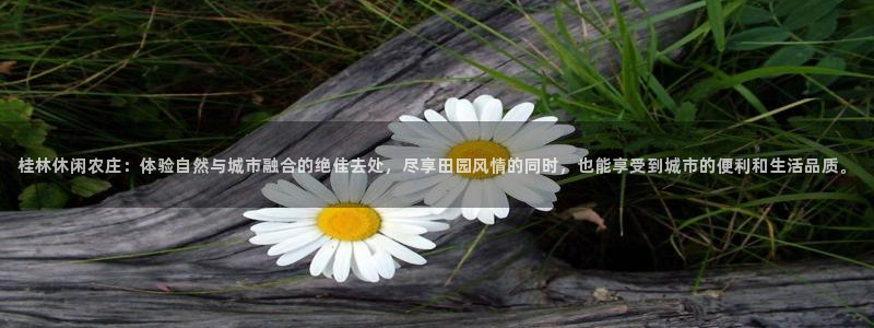 金年会手机登录