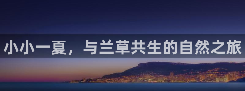 金年会 中国 金年会
