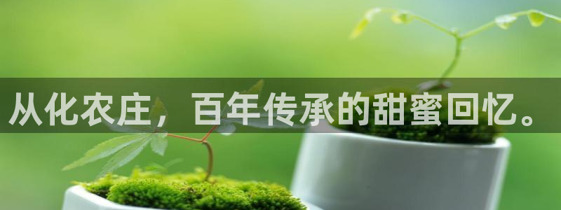 金年会 中国 金年会