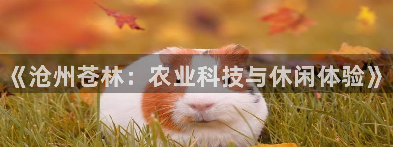 金年会赌博