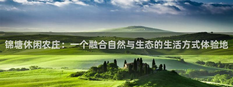 金年会 1080P