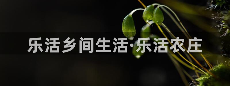 金年会下载
