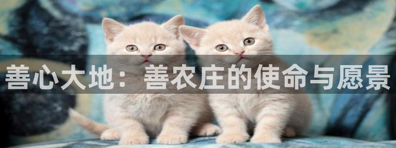 金年会赞助曼联