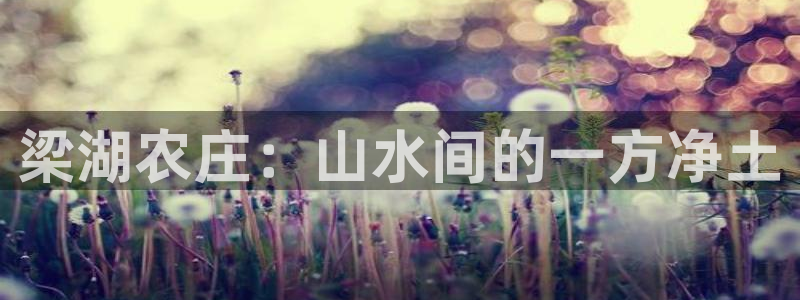 金吉年会
