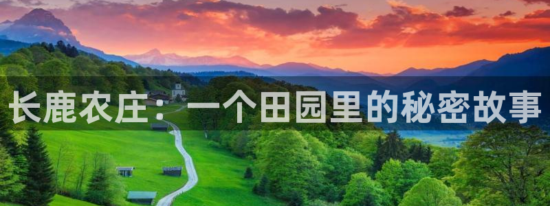 金年会体育app下载