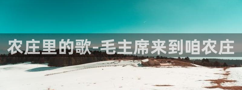 金年会平台包赔