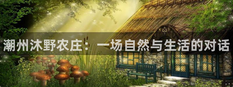 金哥年会