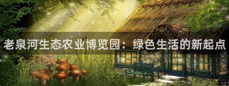 金诚集团年会