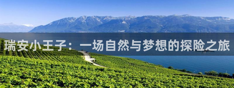 金年会登陆