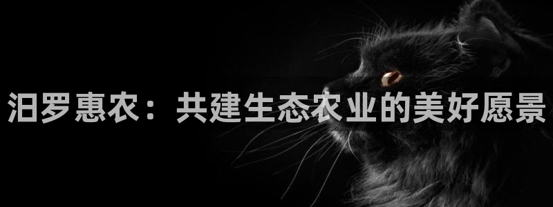 金年会能提款吗