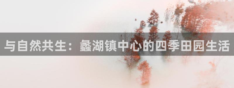 年会金