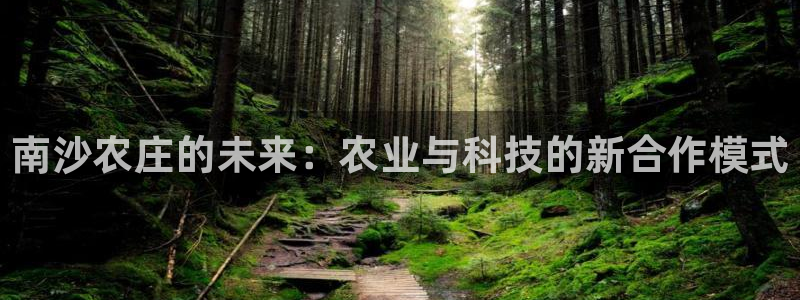 金年会最新官网