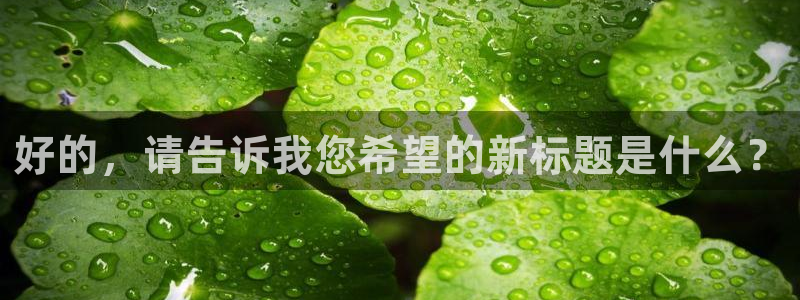金年会app桌面